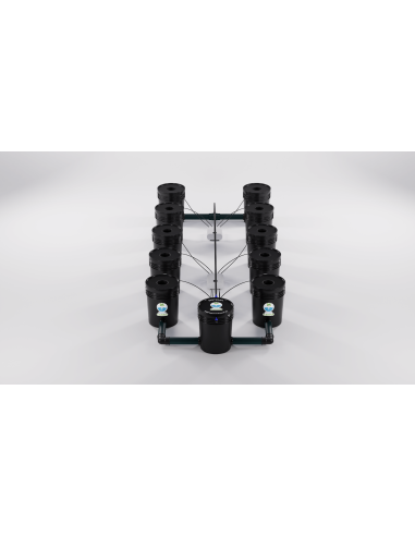 Sistema Hidroponico RDWC 10.1