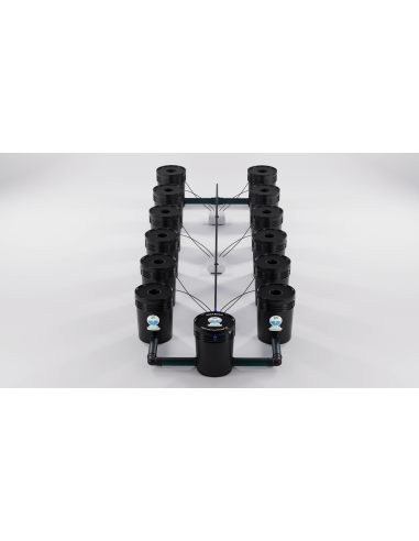 Sistema Hidroponico RDWC 12.1