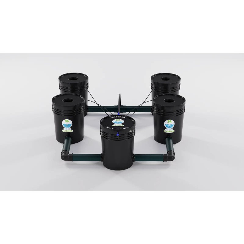 Sistema Hidroponico RDWC 4.1